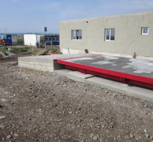 Red Cat Sv 081